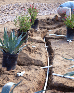 Smart Sprinkler
