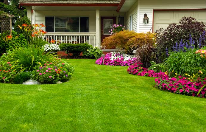 fresh garden