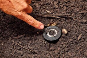 Sprinkler Head