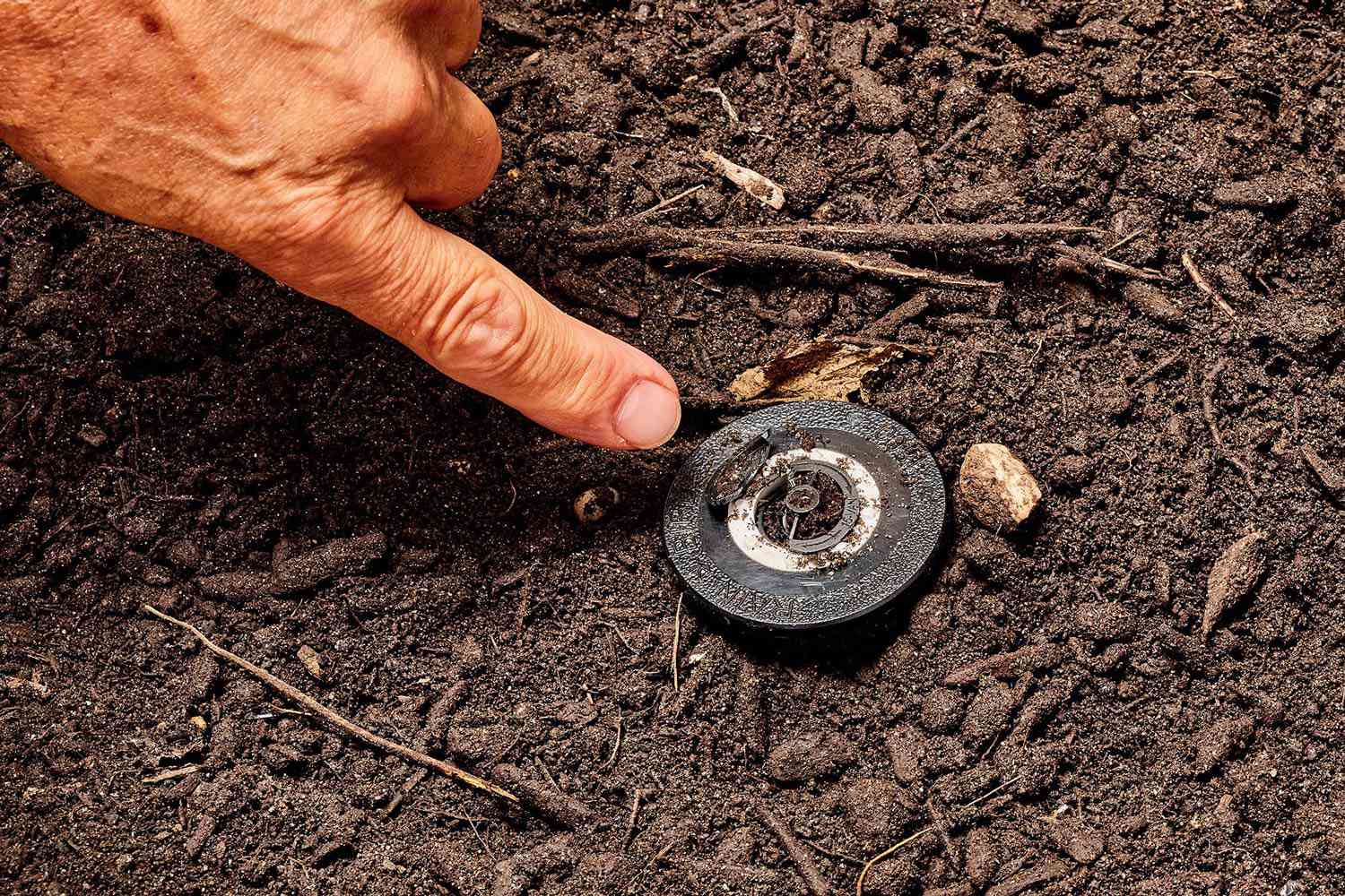 Sprinkler Head